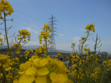 c0206177_7431541.jpg