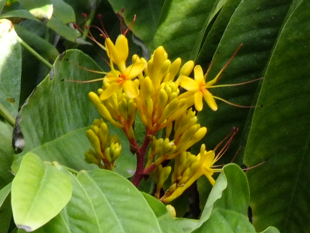 e0145782_730825.jpg