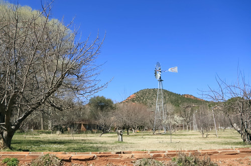 e0148185_51071.jpg