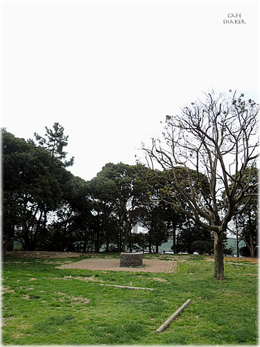e0138787_17591282.jpg