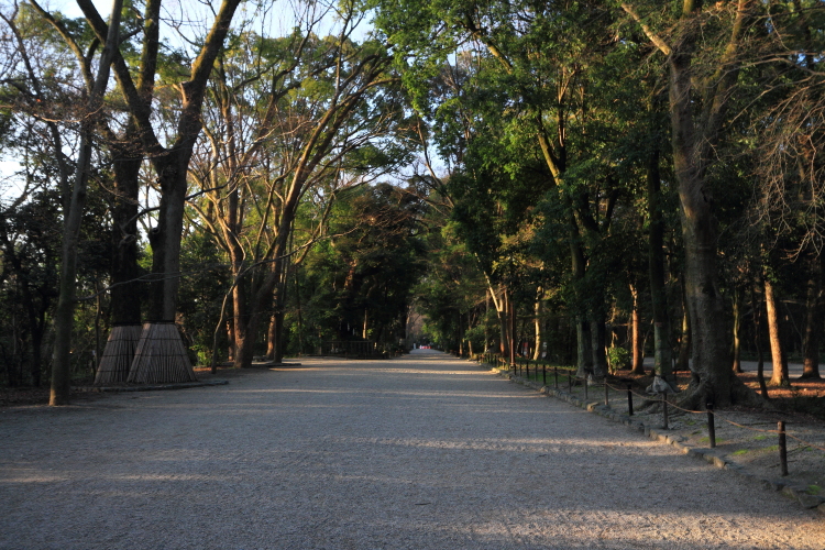 e0051888_23214276.jpg
