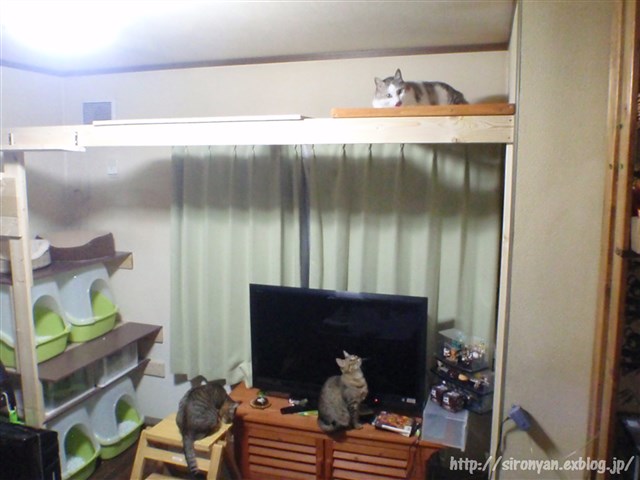 a0159490_1642367.jpg