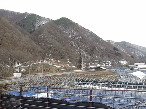 f0236291_765279.jpg