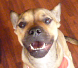 d0282395_211667.png
