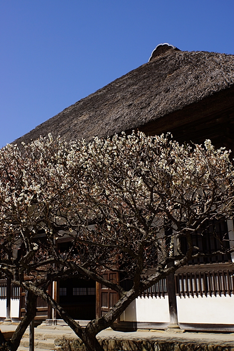 b0145398_22394537.jpg