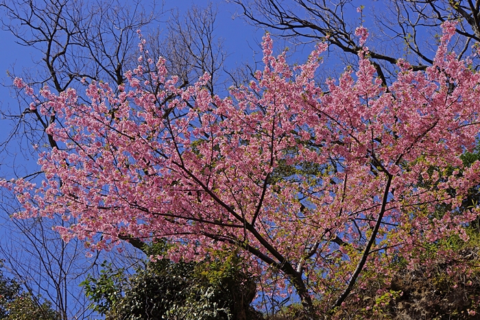 b0145398_22472076.jpg