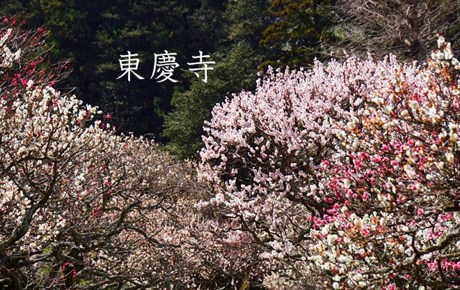 b0145398_22575899.jpg