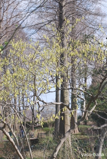 e0025300_1771589.jpg