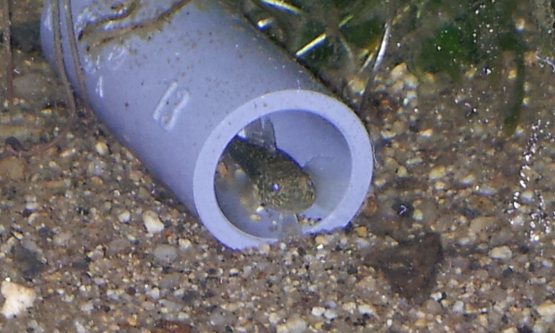 f0162000_19144468.jpg