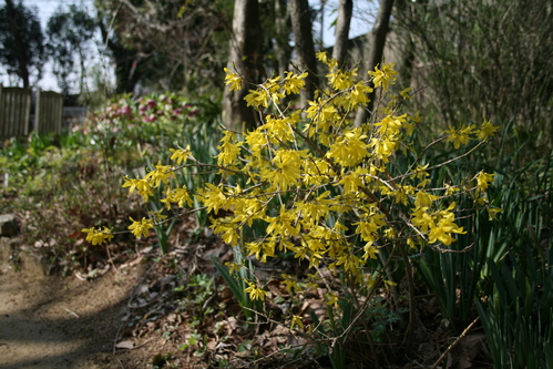 a0139007_1447252.jpg