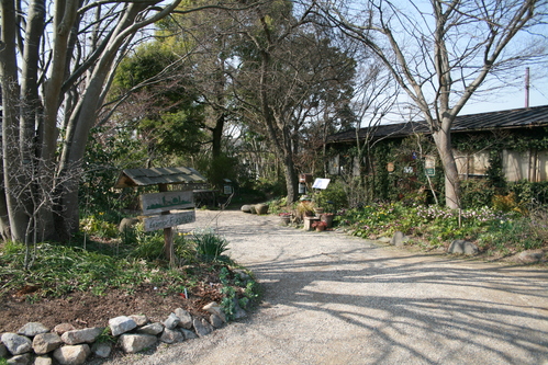 a0139007_14503685.jpg