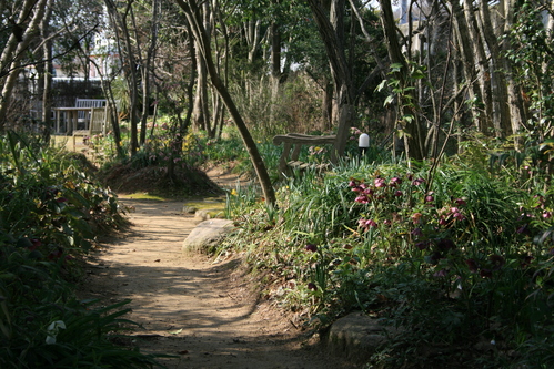 a0139007_14511512.jpg