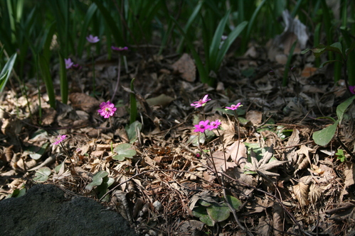 a0139007_14514778.jpg