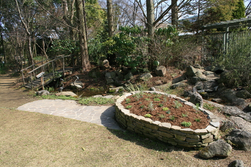 a0139007_1514832.jpg