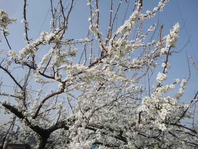 f0231709_22361383.jpg