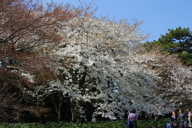 e0121110_2213383.jpg