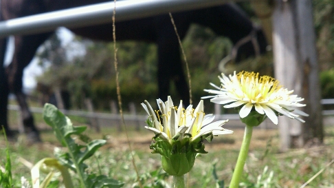 b0187620_20305524.jpg