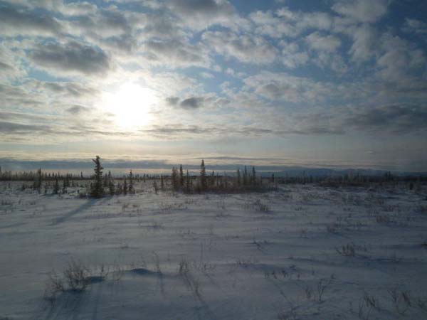 f0147025_11584568.jpg