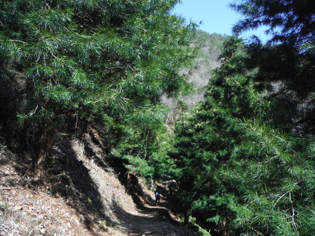 b0136931_23231534.jpg