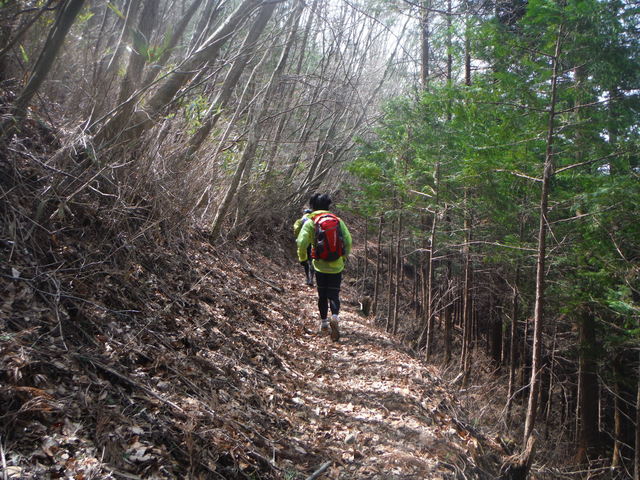 b0136931_23354941.jpg