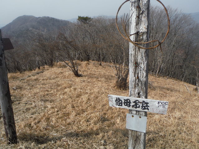 b0136931_23532195.jpg