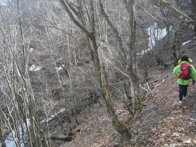 b0136931_23553088.jpg
