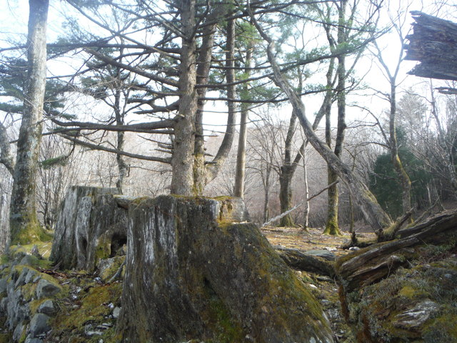 b0136931_23562414.jpg