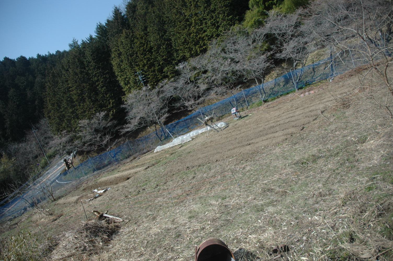 d0241833_16332986.jpg