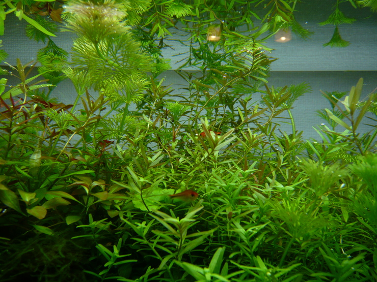 c0250835_14312644.jpg