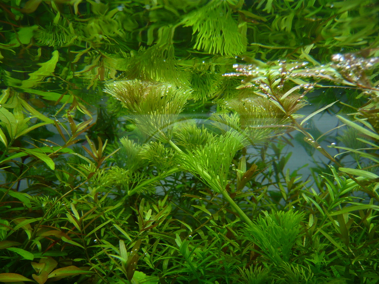 c0250835_1632374.jpg