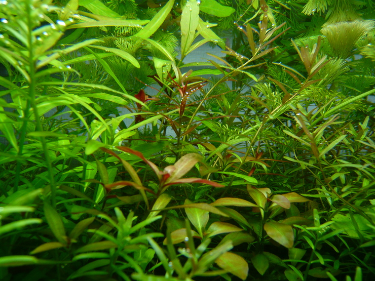 c0250835_1633494.jpg