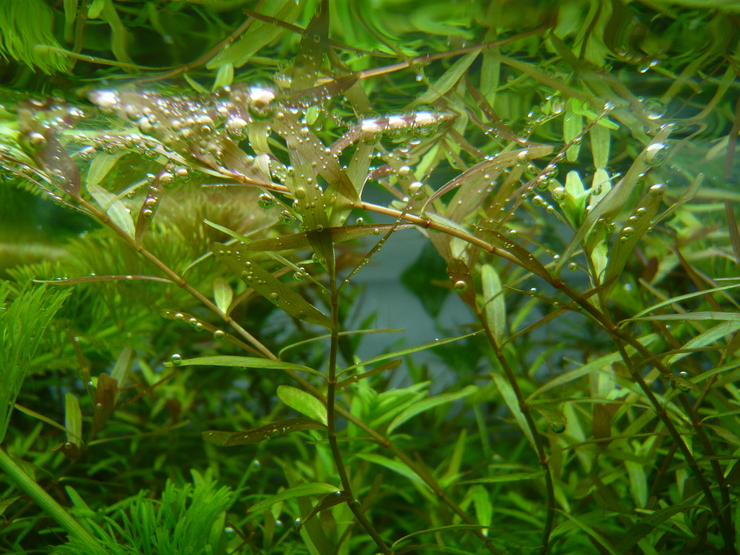 c0250835_16349.jpg