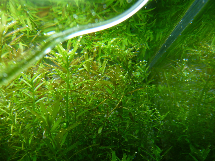 c0250835_17581162.jpg