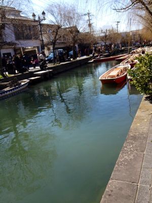 e0133535_1545937.jpg