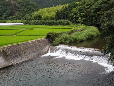 b0184437_19213382.jpg