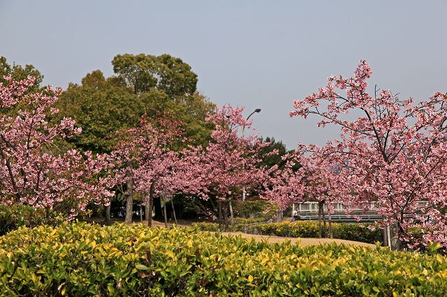 a0242438_22241691.jpg