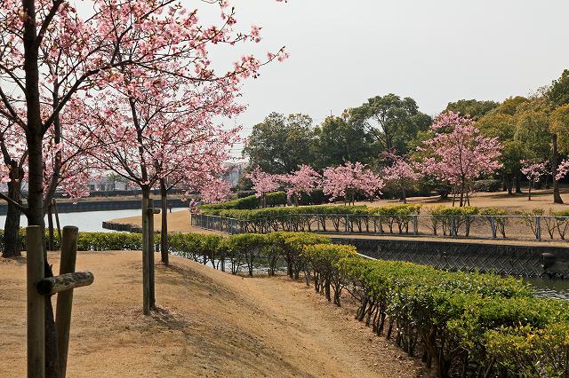 a0242438_22242528.jpg