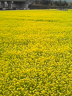 b0200747_0165264.jpg