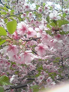 b0200747_0173131.jpg