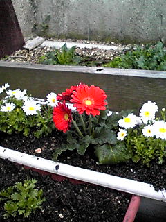 b0200747_0214896.jpg