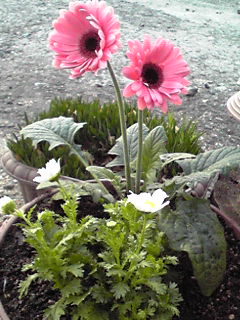 b0200747_022267.jpg