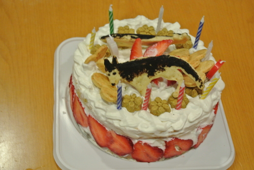 e0121548_21582592.jpg