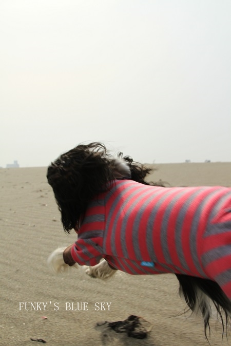 c0145250_1161155.jpg