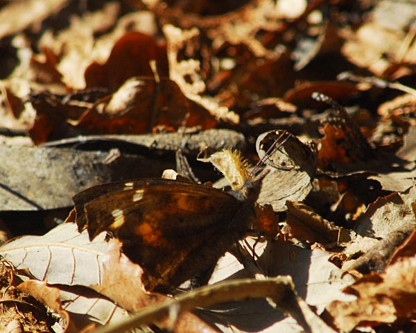 e0035757_18451279.jpg