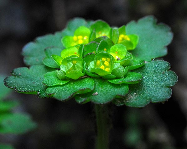 e0035757_18454930.jpg