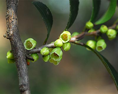 e0035757_1848063.jpg