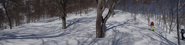 b0050067_2005669.jpg
