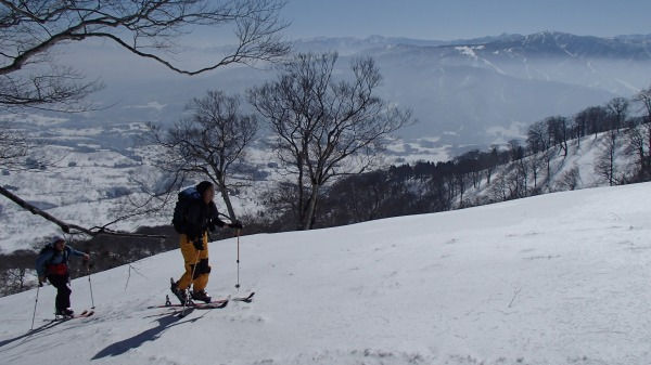 b0050067_2053877.jpg