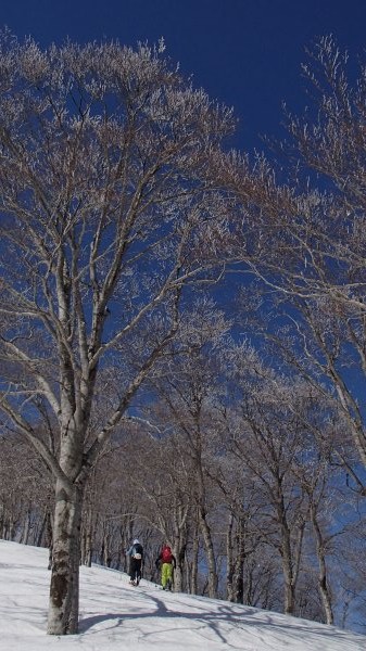 b0050067_2084035.jpg