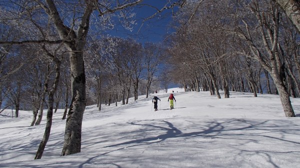 b0050067_2091854.jpg
